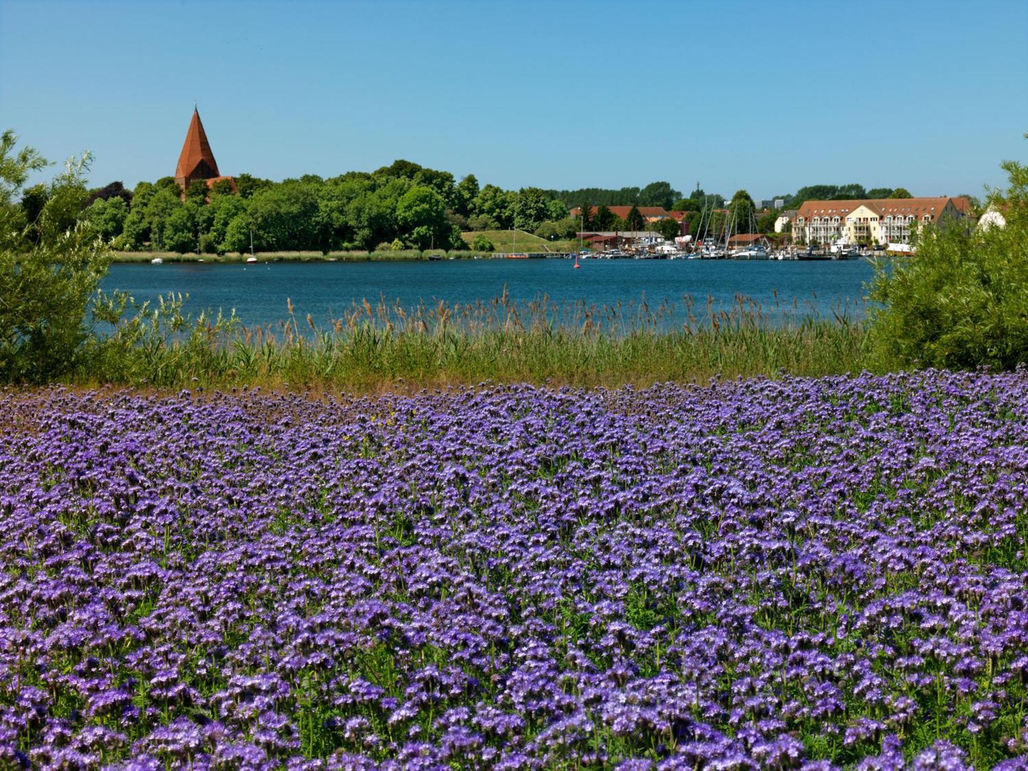 Residenz Am Yachthafen Windspiel Apartman Kirchdorf  Kültér fotó